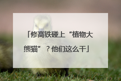 修高铁碰上“植物大熊猫”？他们这么干