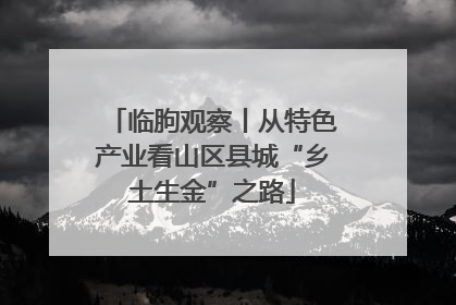 临朐观察丨从特色产业看山区县城“乡土生金”之路