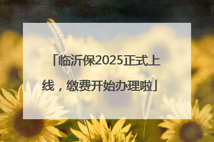 临沂保2025正式上线，缴费开始办理啦