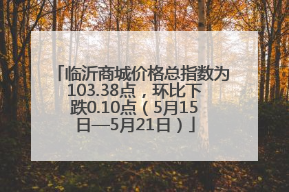 临沂商城价格总指数为103.38点，环比下跌0.10点（5月15日—5月21日）