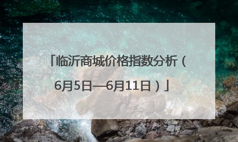 临沂商城价格指数分析（6月5日—6月11日）