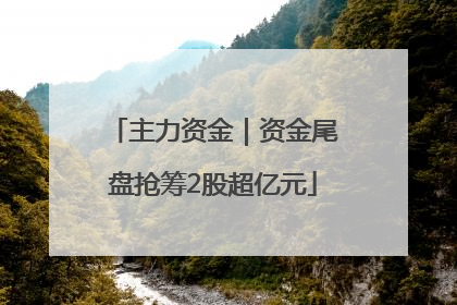 主力资金｜资金尾盘抢筹2股超亿元