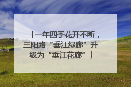 一年四季花开不断，三阳路“垂江绿廊”升级为“垂江花廊”
