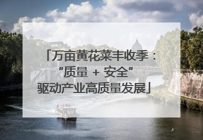 万亩黄花菜丰收季：“质量 + 安全” 驱动产业高质量发展