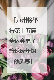 万州将举行第十五届全运会男子篮球成年组预选赛