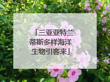 三亚亚特兰蒂斯多样海洋生物引客来