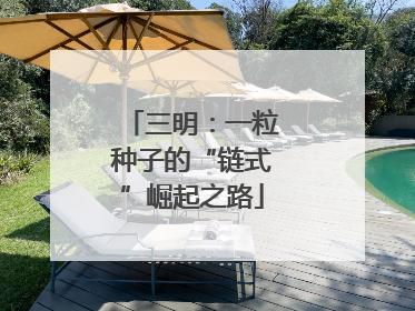 三明：一粒种子的“链式”崛起之路