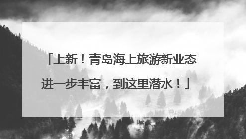 上新！青岛海上旅游新业态进一步丰富，到这里潜水！