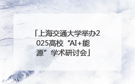 上海交通大学举办2025高校“AI+能源”学术研讨会