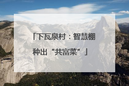 下瓦泉村：智慧棚种出“共富菜”