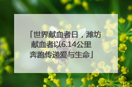 世界献血者日，潍坊献血者以6.14公里奔跑传递爱与生命