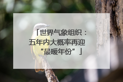 世界气象组织：五年内大概率再迎“最暖年份”