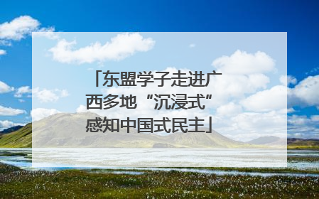 东盟学子走进广西多地“沉浸式”感知中国式民主
