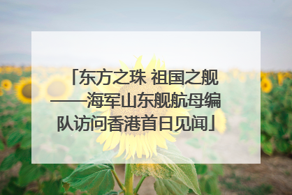 东方之珠 祖国之舰——海军山东舰航母编队访问香港首日见闻
