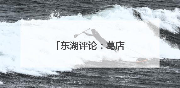 东湖评论：葛店，不止于“光”