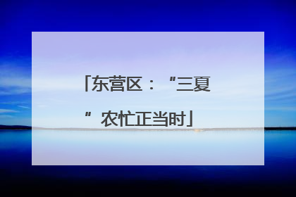 东营区：“三夏”农忙正当时
