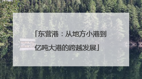 东营港：从地方小港到亿吨大港的跨越发展