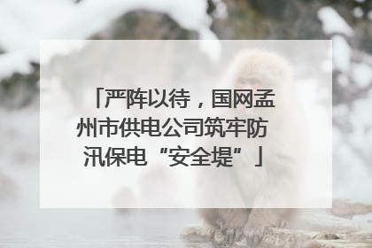 严阵以待，国网孟州市供电公司筑牢防汛保电“安全堤”