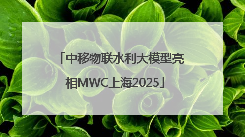 中移物联水利大模型亮相MWC上海2025