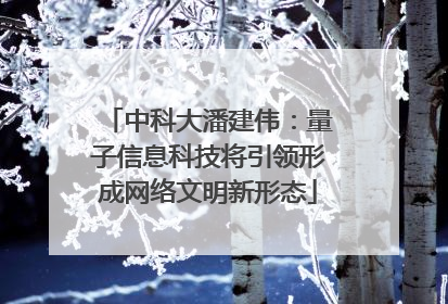 中科大潘建伟：量子信息科技将引领形成网络文明新形态