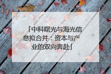 中科曙光与海光信息拟合并：资本与产业的双向奔赴