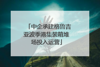 中企承建格鲁吉亚波季港集装箱堆场投入运营