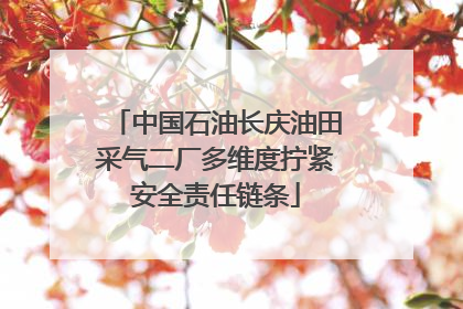 中国石油长庆油田采气二厂多维度拧紧安全责任链条