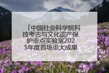 中国社会科学院科技考古与文化遗产保护重点实验室2025年度首场重大成果发布会在京举行