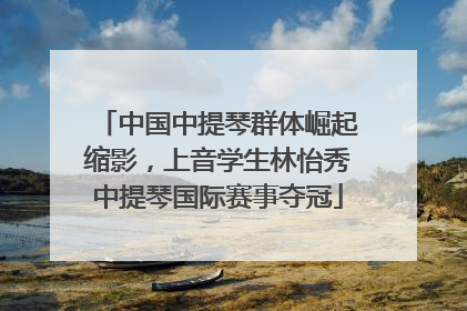 中国中提琴群体崛起缩影，上音学生林怡秀中提琴国际赛事夺冠