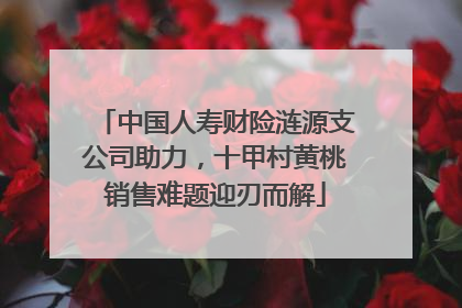 中国人寿财险涟源支公司助力，十甲村黄桃销售难题迎刃而解