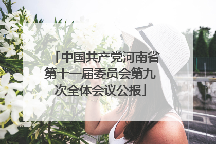 中国共产党河南省第十一届委员会第九次全体会议公报