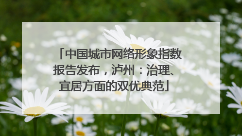 中国城市网络形象指数报告发布，泸州：治理、宜居方面的双优典范