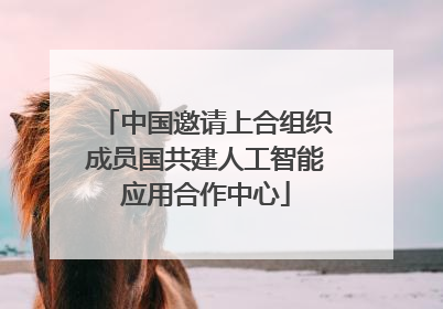 中国邀请上合组织成员国共建人工智能应用合作中心