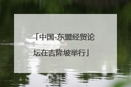 中国-东盟经贸论坛在吉隆坡举行
