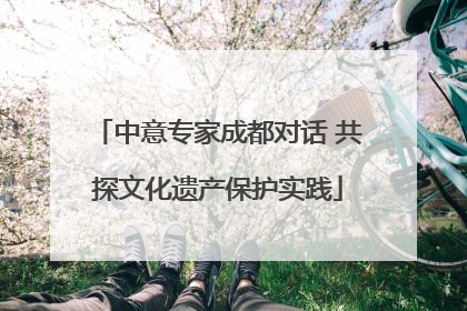 中意专家成都对话 共探文化遗产保护实践