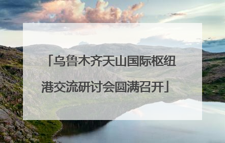 乌鲁木齐天山国际枢纽港交流研讨会圆满召开
