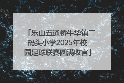 乐山五通桥牛华镇二码头小学2025年校园足球联赛圆满收官