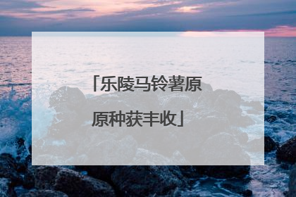 乐陵马铃薯原原种获丰收