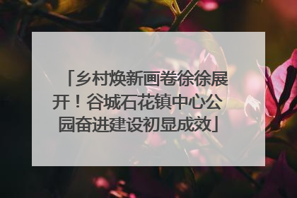 乡村焕新画卷徐徐展开！谷城石花镇中心公园奋进建设初显成效