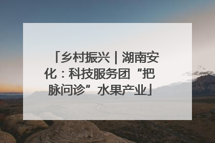 乡村振兴｜湖南安化：科技服务团“把脉问诊”水果产业