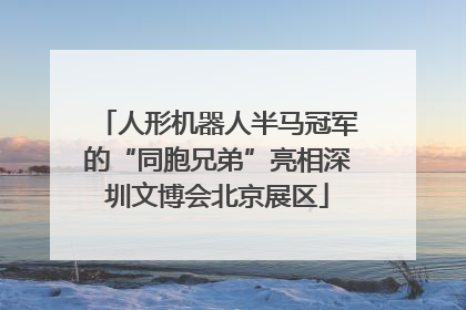 人形机器人半马冠军的“同胞兄弟”亮相深圳文博会北京展区