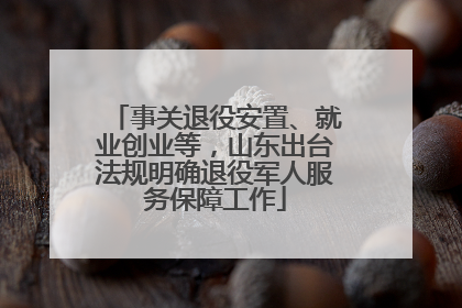 事关退役安置、就业创业等，山东出台法规明确退役军人服务保障工作