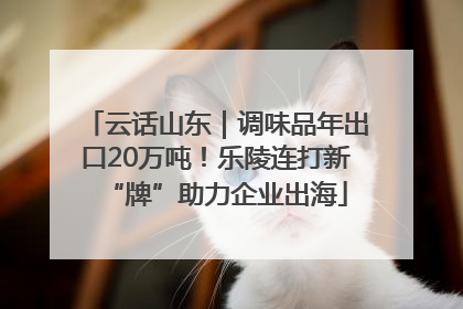 云话山东｜调味品年出口20万吨！乐陵连打新“牌”助力企业出海