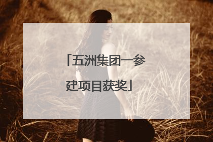 五洲集团一参建项目获奖