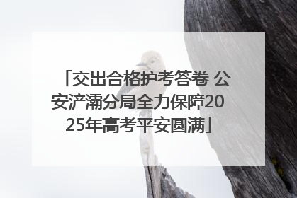交出合格护考答卷 公安浐灞分局全力保障2025年高考平安圆满