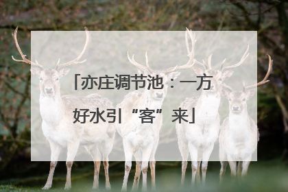 亦庄调节池：一方好水引“客”来