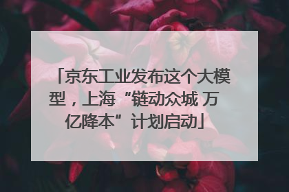 京东工业发布这个大模型，上海“链动众城 万亿降本”计划启动