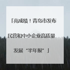 亮成绩！青岛市发布民营和中小企业高质量发展“半年报”