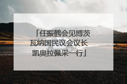 任振鹤会见博茨瓦纳国民议会议长凯奥拉佩采一行