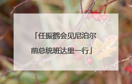任振鹤会见尼泊尔前总统班达里一行